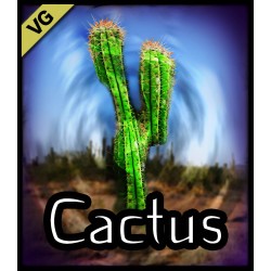 Cactus VG