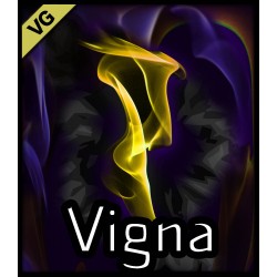 Vigna VG